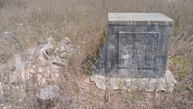 ప్రతీరోజూ సమాధి దగ్గర తెచ్చాడుతూ కనిపించిన వృద్దుడు..