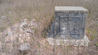 అరుదైన పాము.. కోట్లలో వ్యాపారం.. దీన్ని గురించి తెలిస్తే నోరెళ్లబెడతారు..