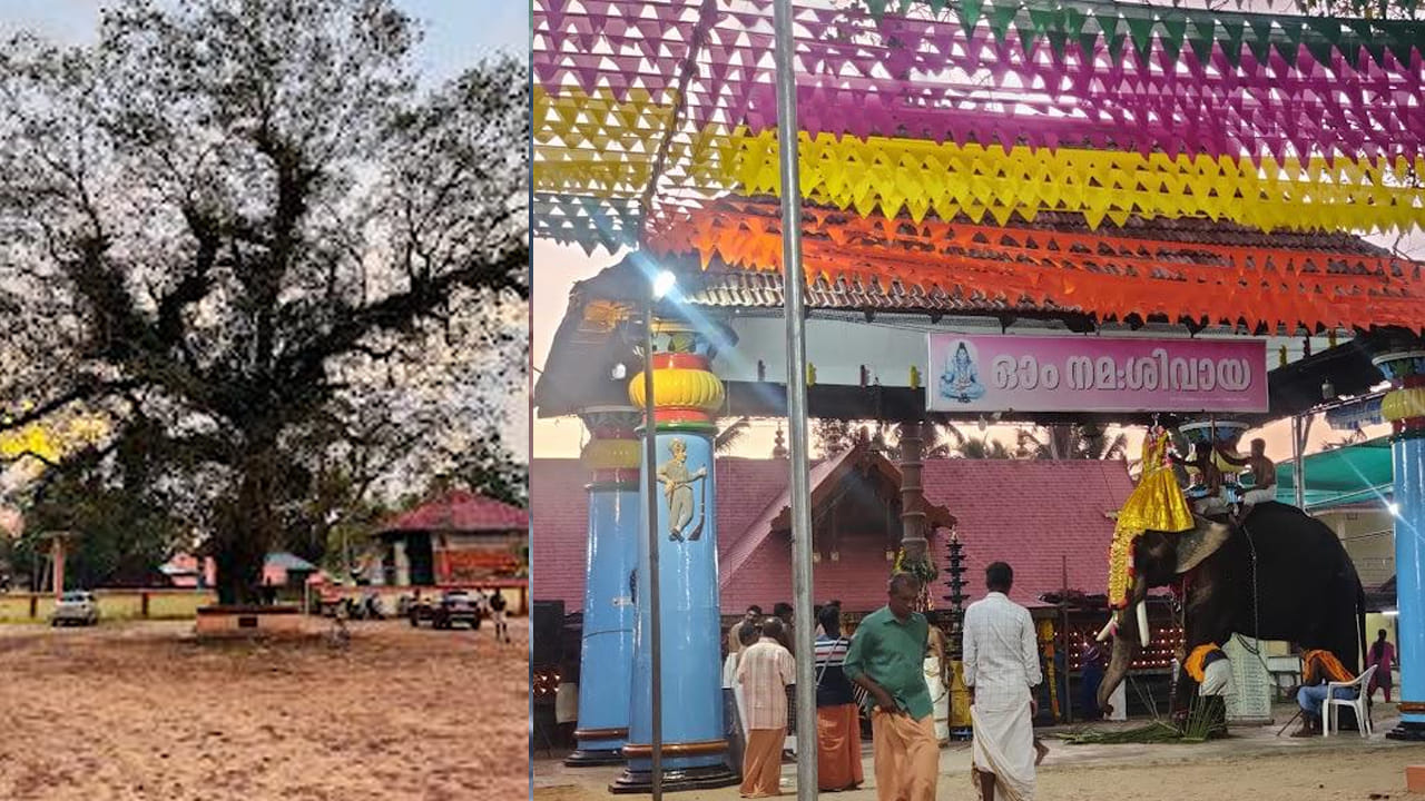 కేరళలోని అలుప్పుల జిల్లాలోని చేతల దగ్గర తిరువిలా అనే ఆలయం ఉంది. దీని ప్రత్యేకతే వేరు. ఈ ఆలయంలో శివలింగం,  నీలకంఠ తత్వం కలిగి ఉంటుంది. అంటే విషాన్ని  దాచుకునే తత్వం  కడుపులో ఉన్న విషాన్ని  నాశనం చేయడమే అక్కడ పరిహారంగా చెబుతుంటారు. విష ప్రయోగాలు చేసిన ప్రయోగాలు జరిగిన వారు ఎవరైనా వెళ్ళవచ్చనే ది నమ్మకం. 