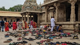 Colour Chicks: ఈ రంగురంగుల కోడి పిల్లల్ని చనిపోకుండా పెంచడం ఎలా..? ఇలా చేయండి