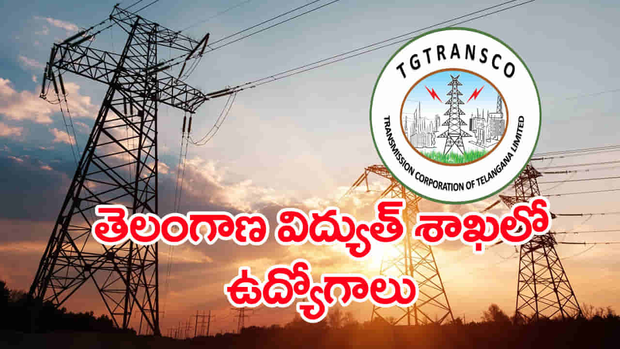 TG TRANSCO Jobs 2026: తెలంగాణ విద్యుత్ శాఖలో ఉద్యోగాలు.. రాత పరీక్ష, ఇంటర్వ్యూ లేదు
