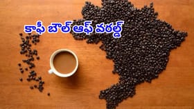 కాఫీ బౌల్‌ ఆఫ్ వరల్డ్ ఏ దేశం? మూడొంతుల దిగుబడి ఇక్కడే… పర్యాటకులు