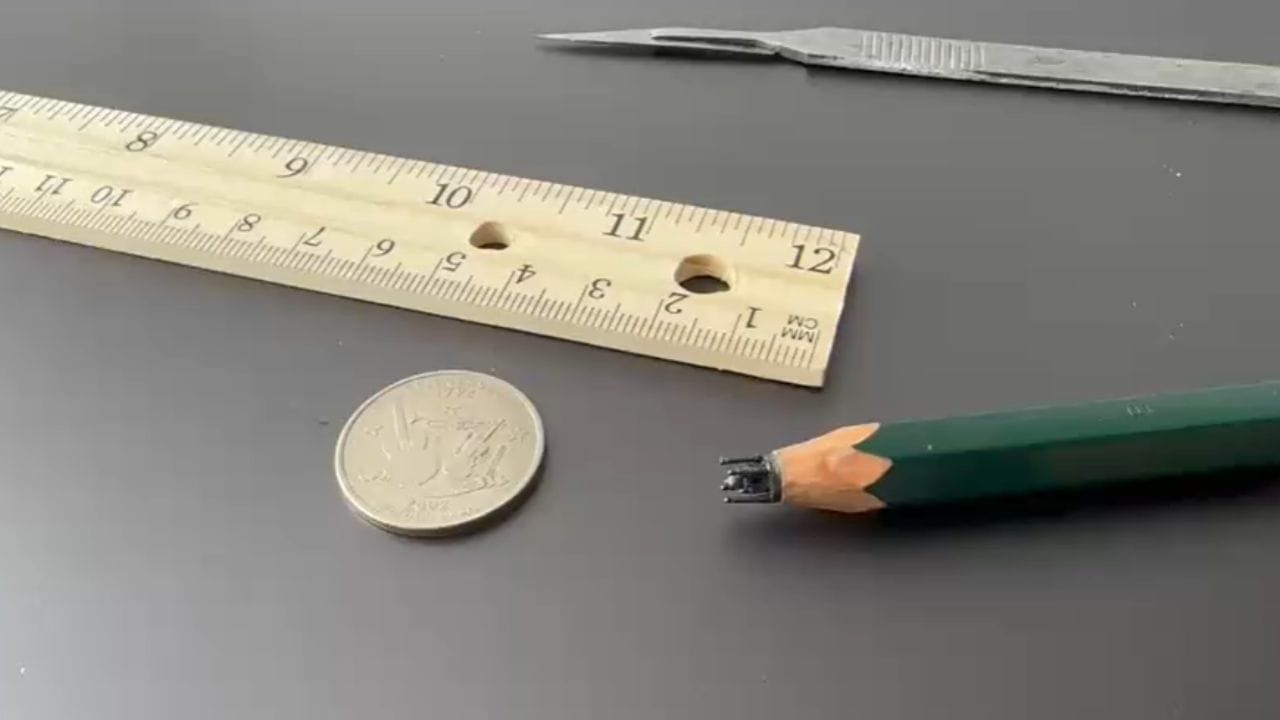 ఈ తాజా ఫీట్‌లో మన తెలుగు రాష్ట్రాలకు చెందిన వెంకటేష్‌ అతి చిన్న వయస్సులోనే ప్రపంచలోనే అత్యంత సూక్ష్మ తాజ్‌ మహల్‌ను రూపొందిన వ్యక్తిగా రికార్డ్ క్రియేట్ చేశాడు. ఇది వెంకటేష్‌కు మరో అరుదైన గుర్తింపును తెచ్చి పెట్టింది.  