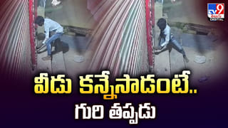 గుర్రంపై బ్లింకిట్ డెలివరీ.. ఇదెక్కడి మాస్ రా మావా..