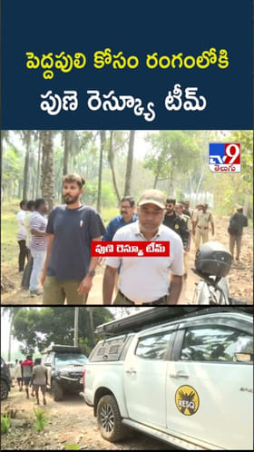 ఇంకా దొరకని పెద్దపులి ఆచూకీ.. రంగంలోకి పుణె రెస్క్యూ టీమ్‌