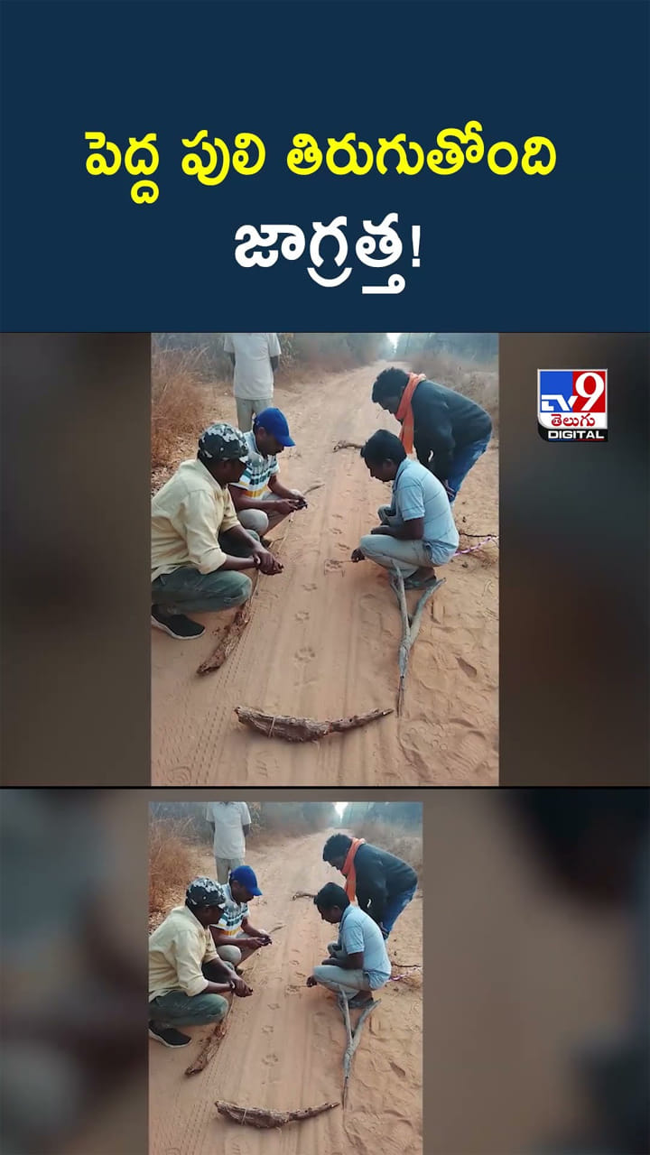 అన్నోయ్.. పెద్ద పులి తిరుగుతోంది.. జాగ్రత్త