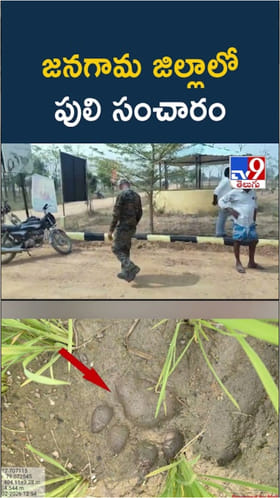 వామ్మో.. జనగామ జిల్లాలో పులి..గజగజ వణికిపోతున్న జనం