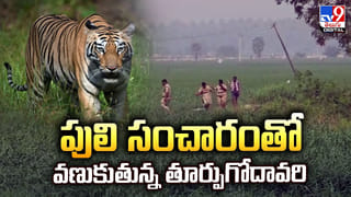 విదేశాల నుంచి భారత్‌కు వచ్చే ప్రయాణికులకు కొత్త బ్యాగేజ్ రూల్స్