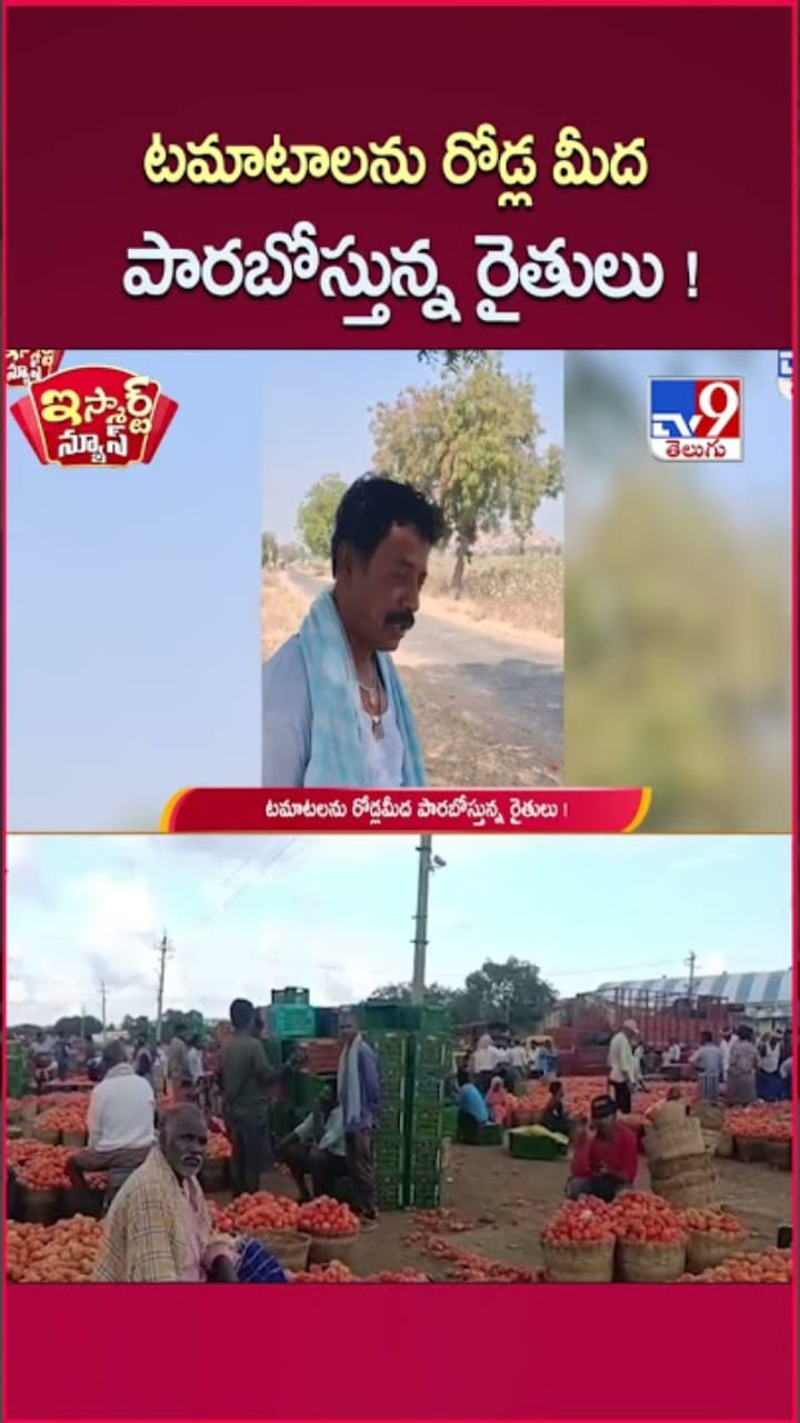 కష్టానికి ఫలితం శూన్యం.. టమోటా రైతుల కన్నీటి గాథ..!