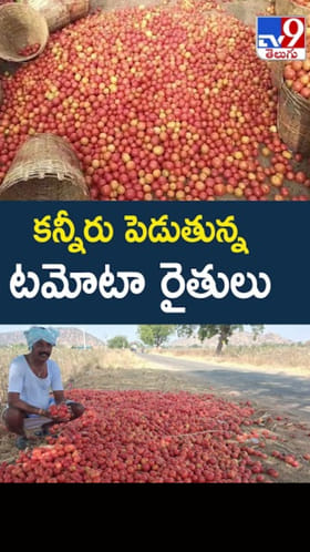 ధర భారీగా పతనం.. కన్నీరు పెడుతున్న టమోటా రైతులు..!