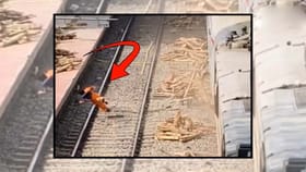 రైల్వే స్టేషన్‌లో ఘోర ప్రమాదం.. గాలిలో ఎగిరిపడ్డ మహిళ!