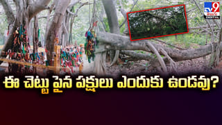 లింగం కాదు.. నిలువెత్తు రూపంలోనే పరమశివుడు!