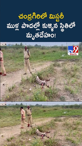 చంద్రగిరిలో మిస్టరీ.. ముళ్ల పొదల్లో కుళ్ళిన స్థితిలో మృతదేహం!