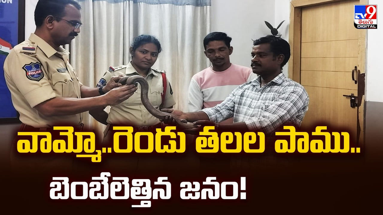 వామ్మో.. రెండు తలల పాము.. బెంబేలెత్తిన జనం