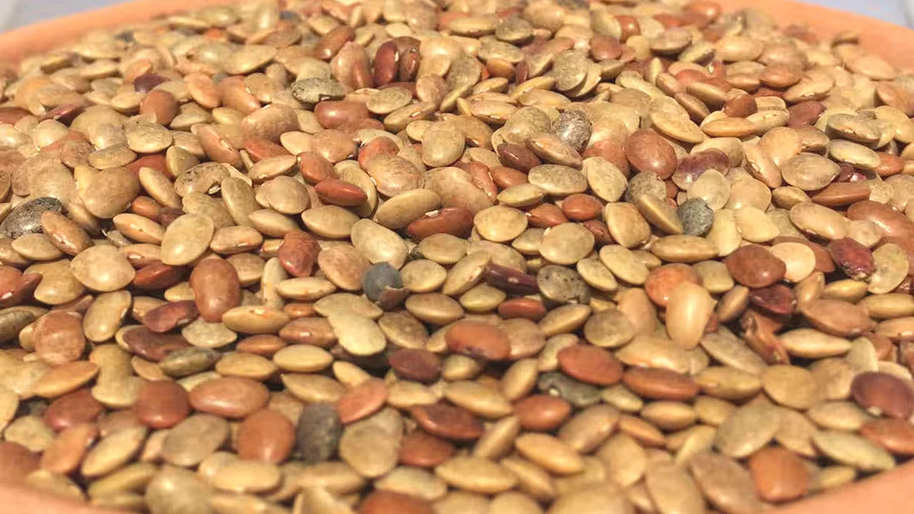 
అధిక బరువుతో బాధపడే వారు వీటిని మీ డైట్ లో చేర్చుకుంటే బరువు సులభంగా తగ్గుతారు. ఇంకా చెప్పాలంటే ఇది ఆకలిని  కూడా నియంత్రిస్తుంది. కాబట్టి, వీటిని తినడం అలవాటు చేసుకోండి. 
