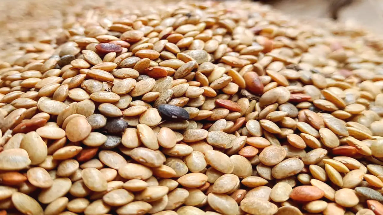 కిడ్నీ రాళ్లు ఉన్న వారికీ ఇది సూపర్ ఫుడ్. వీటిని వారంలో రెండు సార్లు తింటే ఈ సమస్య నుంచి ఉపశమనం పొందొచ్చు. అంతేకాదు, పూర్తిగా  నయం చేయడంలో కూడా ఇవి  సహాయపడతాయి.