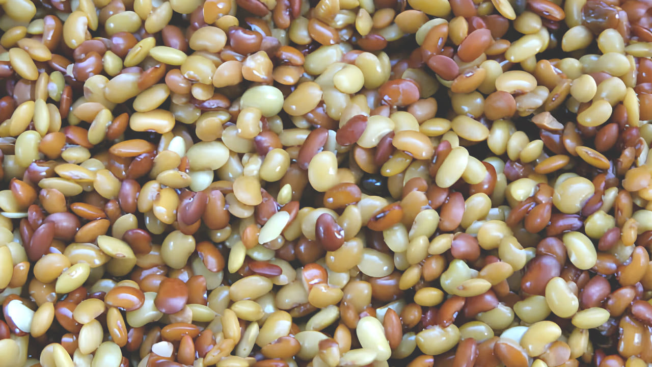 చలి కాలంలో ఏవి తిన్నా కూడా మనల్ని ఇబ్బంది పెడుతూనే ఉంటాయి. ఈ సమయంలో శరీరాన్ని వెచ్చగా ఉంచే ఆహారాలు తీసుకోవడం చాలా ముఖ్యం. ఉలవ చారు వంటివి తీసుకుంటే ఆరోగ్యం మెరుగుపడుతుంది. 