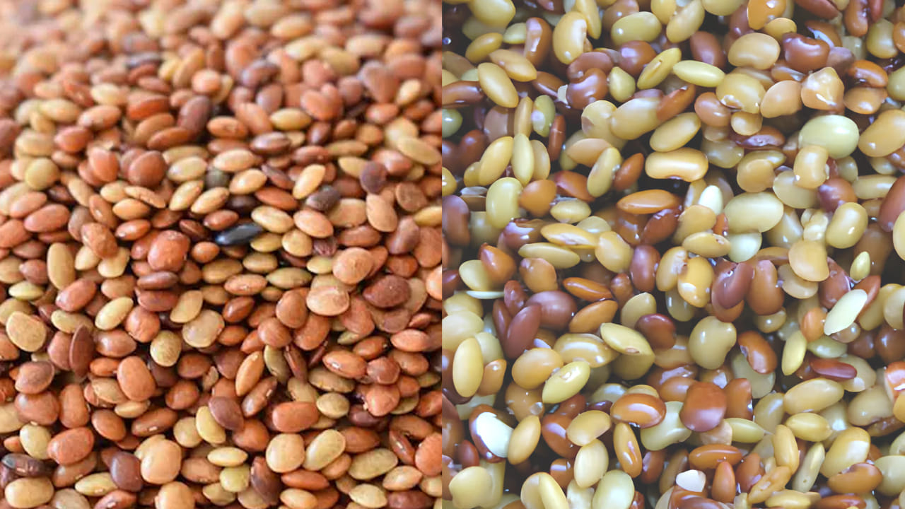 ఇంకా వీటిలో విటమిన్లు ఎక్కువగా ఉంటాయి. వీటిని రాత్రంతా నానాబెట్టి  తినడం వల్ల జీర్ణవ్యవస్థ పని తీరు మెరుగుపడుతుంది. 
(NOTE: ఇందులోని అంశాలు కేవలం అవగాహన కోసం మాత్రమే. నిపుణులు అందించిన సమాచారం ప్రకారం ఇక్కడ తెలియజేయడమైనది. ఆరోగ్యరీత్యా ఎలాంటి సమస్యలు ఉన్నానేరుగా వైద్య నిపుణులను సంప్రదించడం మంచిది)
