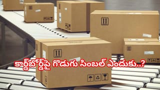 Viral Video: ఇది ప్రపంచంలోనే అతిపెద్ద కొండచిలువ.. గిన్నిస్‌బుక్‌ రికార్డ్‌.. వీడియో వైరల్