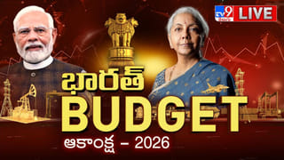 Union Budget 2026: బడ్జెట్ వేళ నిర్మలమ్మ ప్రత్యేక చీరకట్టు.. ఈ చీర వెనుక ఉన్న సీక్రెట్ ఏంటో తెలుసా..?