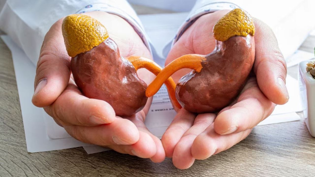 మూత్రాన్ని పదేపదే ఆపుకోవడం వల్ల మూత్రాశయంలో చెడు బ్యాక్టీరియా పేరుకుపోతుంది. ఇది క్రమంగా మూత్ర నాళాల ఇన్ఫెక్షన్‌కు దారితీస్తుంది. దీంతో మూత్రంలో మంట, దుర్వాసన తో కూడిన మూత్రం.. ఆ కారణంగా అనారోగ్యం పాలవడం జరుగుతుంది. జ్వరం రావడం.. ఆ జ్వరం తీవ్రమవడం.. దాని కారణంగా మూత్ర నాళాల ఇన్ఫెక్షన్‌ జరుగుతుంది. 