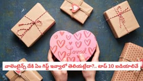 వాలెంటైన్స్ డేకి ఏ గిఫ్ట్ ఇవ్వాలో తెలియట్లేదా?.. టాప్ 10 ఐడియాలు