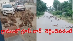 ఆ గ్రామంలో కుప్పలు తెప్పులుగా కోతుల గుంపులు.. బయటకెళ్లేందుకు..