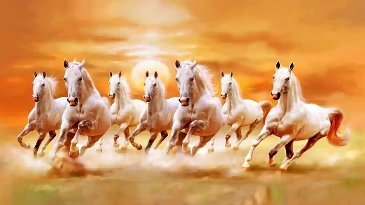 ఏడు తెల్ల గుర్రాలు : ఏడు పరిగెత్తుతున్న తెల్ల గుర్రాల ఫొటో చాలా మంచిది ఇంటిలో లివింగ్ రూమ్‌లో పెట్టుకుంటారు. ఇది పురోగతిని సూచిస్తుంది. ఇలా పరిగెత్తుతున్నట్లు ఉన్న ఏడు తెల్ల గుర్రాల చిత్రపటాన్ని లివింగ్ రూమ్‌లో దక్షిణ దిశ వైపు పెట్టడం వలన అన్నింటిలో విజయం కలుగుతుందంట.