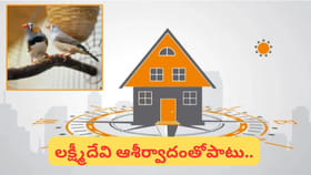 ఎంత డబ్బు సంపాదించినా.. నిలవడం లేదా..? ఈ పక్షుల ఫోటోలు ఇంట్లో..