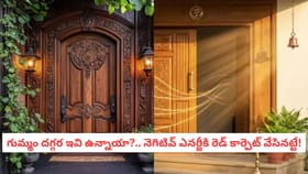 గుమ్మం దగ్గర ఇవి ఉంటే.. నెగిటివ్ ఎనర్జీకి రెడ్ కార్పెట్ వేసినట్టే
