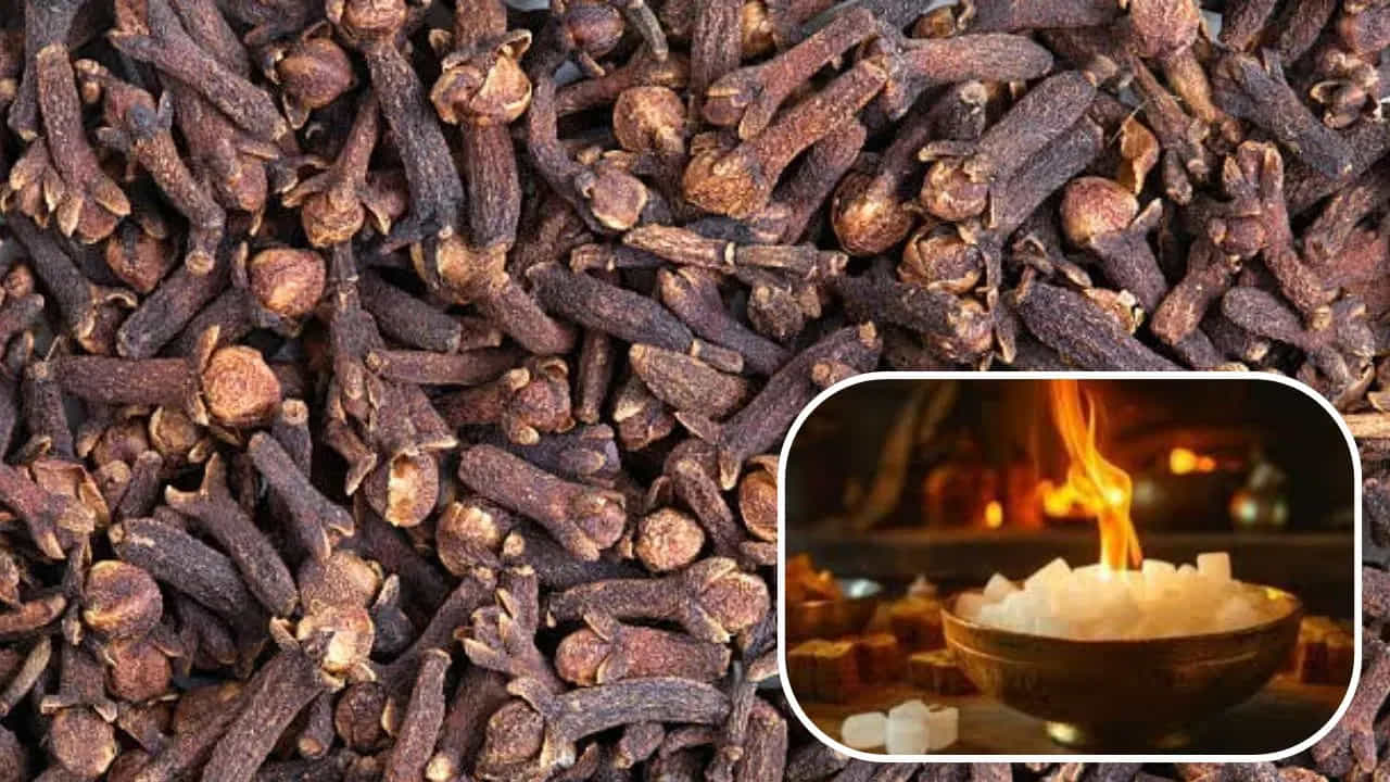 2. కర్పూరం, లవంగాలతో శుద్ధి..
ప్రతి సాయంత్రం రెండు లవంగాలతో కర్పూరం వెలిగించడం వల్ల ఇంట్లో గాలి శుద్ధి అవుతుందని, ప్రతికూల శక్తి తొలగిపోతుందని చెబుతారు. కర్పూరం దహనం అవుతున్నప్పుడు వచ్చే సువాసన మానసిక ప్రశాంతతను కలిగిస్తుంది. ఈ విధానం ఇంట్లో ఆనందం, శాంతి, మానసిక స్థిరత్వాన్ని పెంచడంలో సహాయపడుతుందని విశ్వాసం.