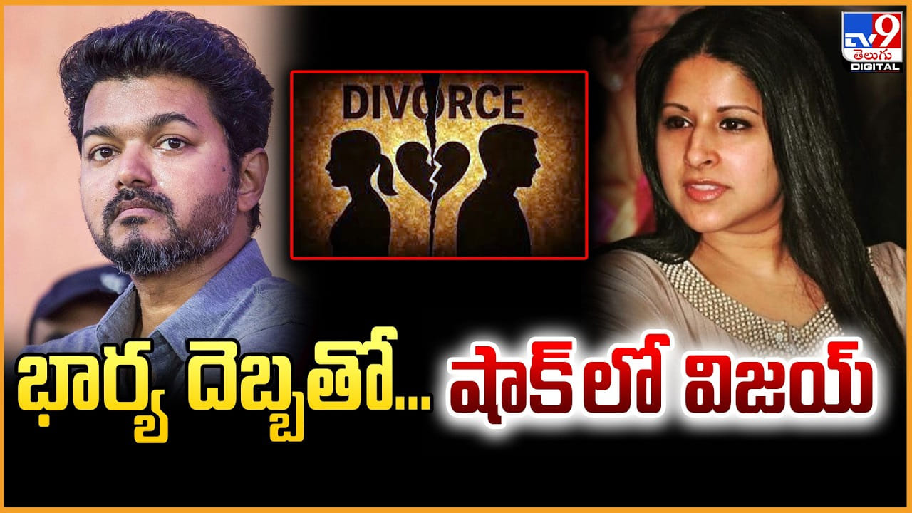 Vijay: భార్య దెబ్బతో.. షాక్ లో విజయ్.. మరి రాజకీయ పరిస్థితి ఏంటో Vijay: భార్య దెబ్బతో.. షాక్ లో విజయ్.. మరి రాజకీయ పరిస్థితి ఏంటో