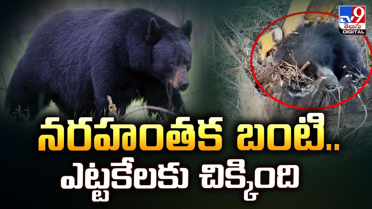 నరహంతక బంటి..ఎట్టకేలకు చిక్కింది