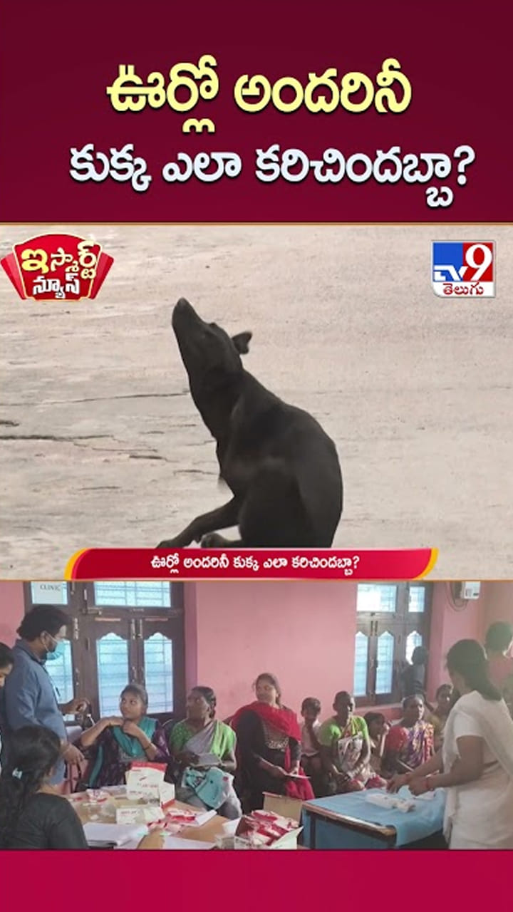 Telangana: ఒకే కుక్క.. ఊర్లో అందరినీ ఎలా కరిచిందబ్బా.!