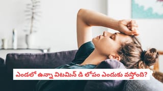 Mouth Ulcer: నోటి అల్సర్‌తో జర భద్రం.. ఆ ప్రాణాంతక వ్యాధికి ఇది కూడా ఓ సంకేతమే!