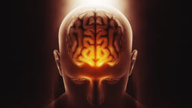 పరీక్షల వేళ పిల్లల్లో జ్ఞాపక శక్తిని పెంచే సూపర్ ఫుడ్..