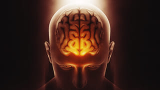 Migraine vs Headache: మీకున్నది మైగ్రేనా? లేదా సాధారణ తలనొప్పా.. గుర్తించడం ఎలా?