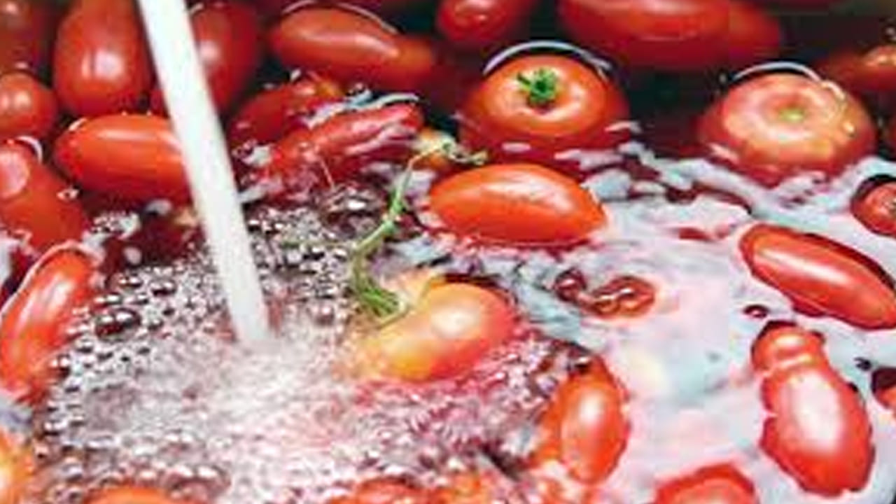 టమాటాలను ఉప్పు నీటిలో దాదాపు 15 నుండి 20 నిమిషాలు నానబెట్టాలి. ఇలా చేయటం వల్ల ఉప్పులోని సహజ శుభ్రపరిచే లక్షణాలు చర్మం ఉపరితలంపై అంటుకున్న పురుగుమందుల అవశేషాలను వదిలిస్తాయి, తద్వారా మట్టి, దుమ్ము, ధూళి సులభంగా తొలగిపోతాయి. ఇలా టమాటాలను నానబెట్టిన తర్వాత శుభ్రమైన నీటి ప్రవాహంలో బాగా కడగడం ముఖ్యం. మీ చేతులతో చర్మాన్ని సున్నితంగా రుద్దడం వల్ల మిగిలిన చెత్త, బ్యాక్టీరియా కాలుష్యం మరింత తగ్గుతుంది.