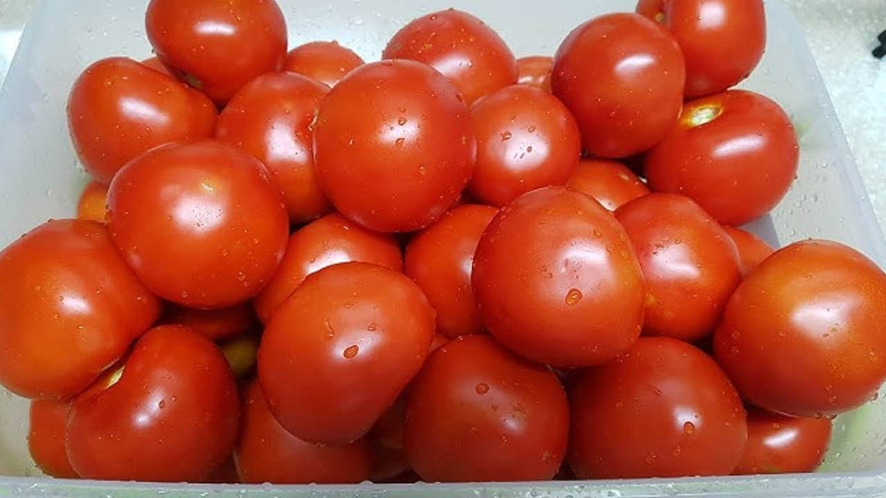 Washing Tomato 5