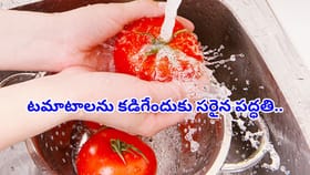 టమాటాలను ఎలా శుభ్రం చేస్తున్నారు..? సరైన పద్ధతి ఏంటో తెలుసుకోండి!