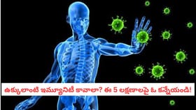 ఉక్కులాంటి ఇమ్యూనిటీ కావాలా? ఈ 5 లక్షణాలపై ఓ కన్నేయండి!