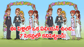ఈ పెళ్లిలో ఓ ఏలియన్‌ ఉంది.. 7 సెకన్లలో గుర్తించండి