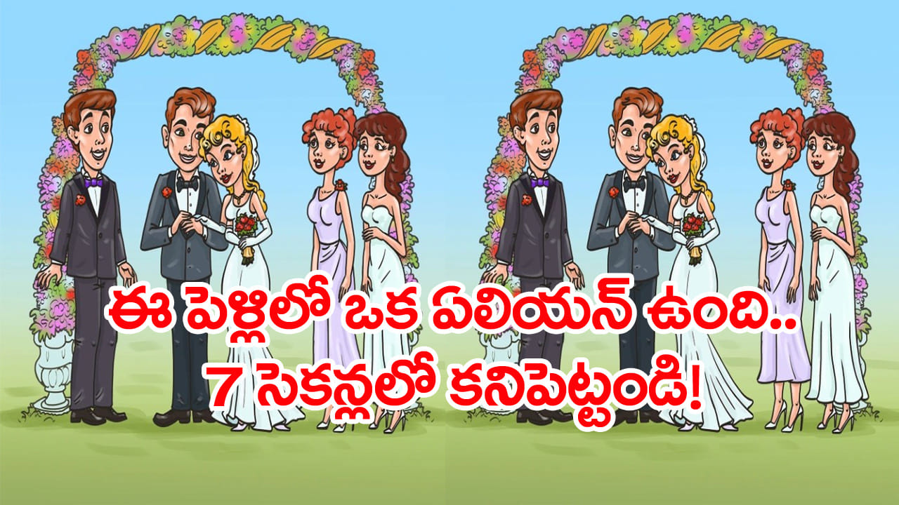 Brain Teaser: మీ చూపుకు అగ్నిపరీక్ష..! ఈ పెళ్లిలో ఓ ఏలియన్ ఉంది.. 7 సెకన్లలో గుర్తించండి
