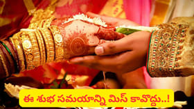 పెళ్లికాని ప్రసాదులూ గెట్ రెడీ.. మూఢం ముగిసింది.. వెడ్డింగ్ టైమ్