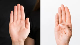 ఇంట్లో ఈగలు, దోమలు ఎక్కువయ్యాయా? వెంటనే ఇలా చేయండి.. ప్రతి ఇంటికి ఉపయోగపడే చిట్కాలు!