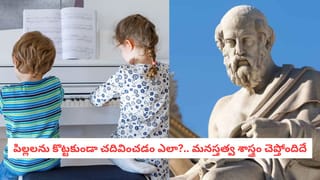 JEE Main 2026 Toppers: జేఈఈ మెయిన్‌ పేపర్‌ 2 ఫలితాల్లో తెలుగోళ్ల సత్తా.. ఇద్దరికి 100 పర్సంటైల్‌