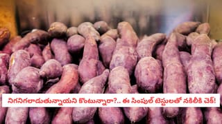 Walking Techniques: ఎవ్వరూ చెప్పని టెక్నిక్.. ఇలాంటి చోట నడిస్తే చాలు.. మీ బాడీ ఫ్యాట్ కరిగిపోవడం ఖాయం!