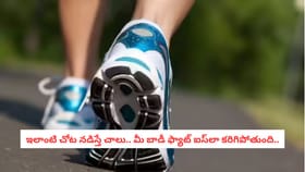 ఇలాంటి చోట నడిస్తే చాలు.. మీ బాడీ ఫ్యాట్ ఐస్‌లా కరిగిపోతుంది..