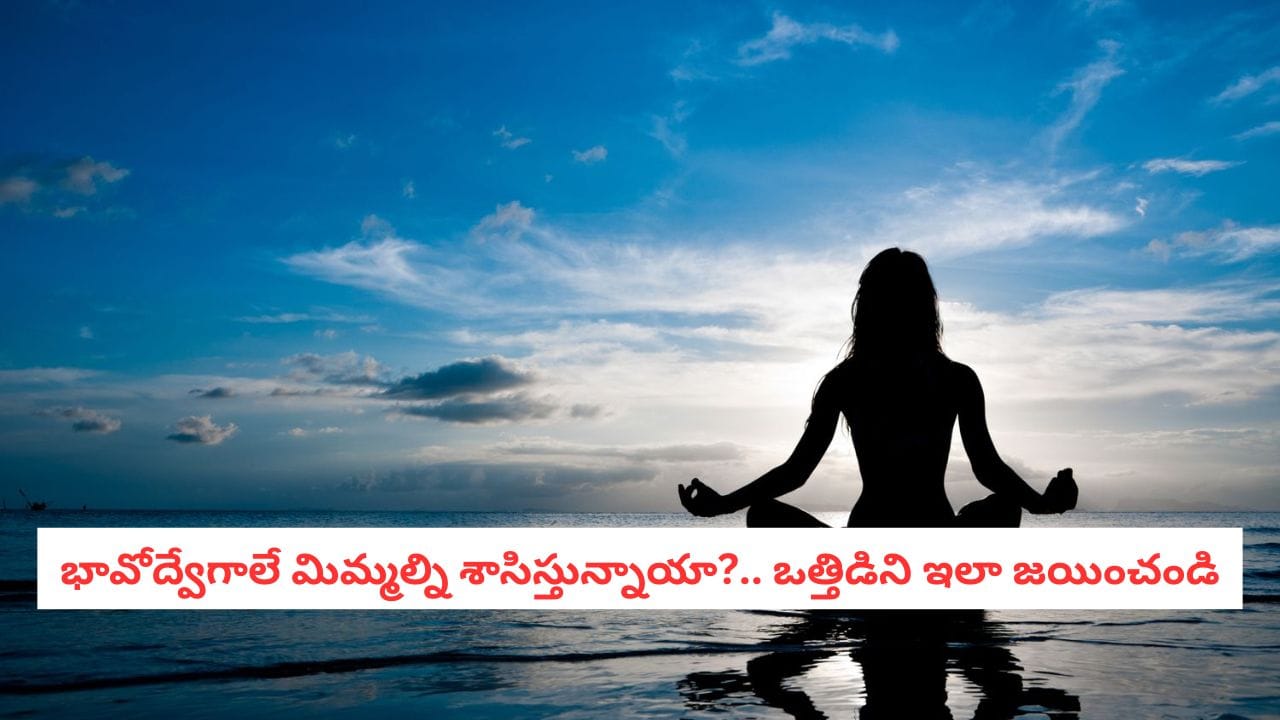Mental Health: విమర్శలతో కుంగిపోకండి.. మీ మనస్సునే ఆయుధంగా మార్చుకునే రహస్యం ఇదే!