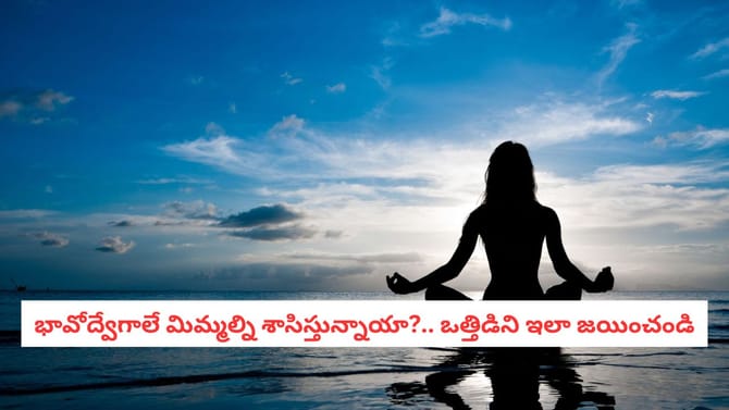 భావోద్వేగాలే మిమ్మల్ని శాసిస్తున్నాయా?.. ఒత్తిడిని ఇలా జయించండి